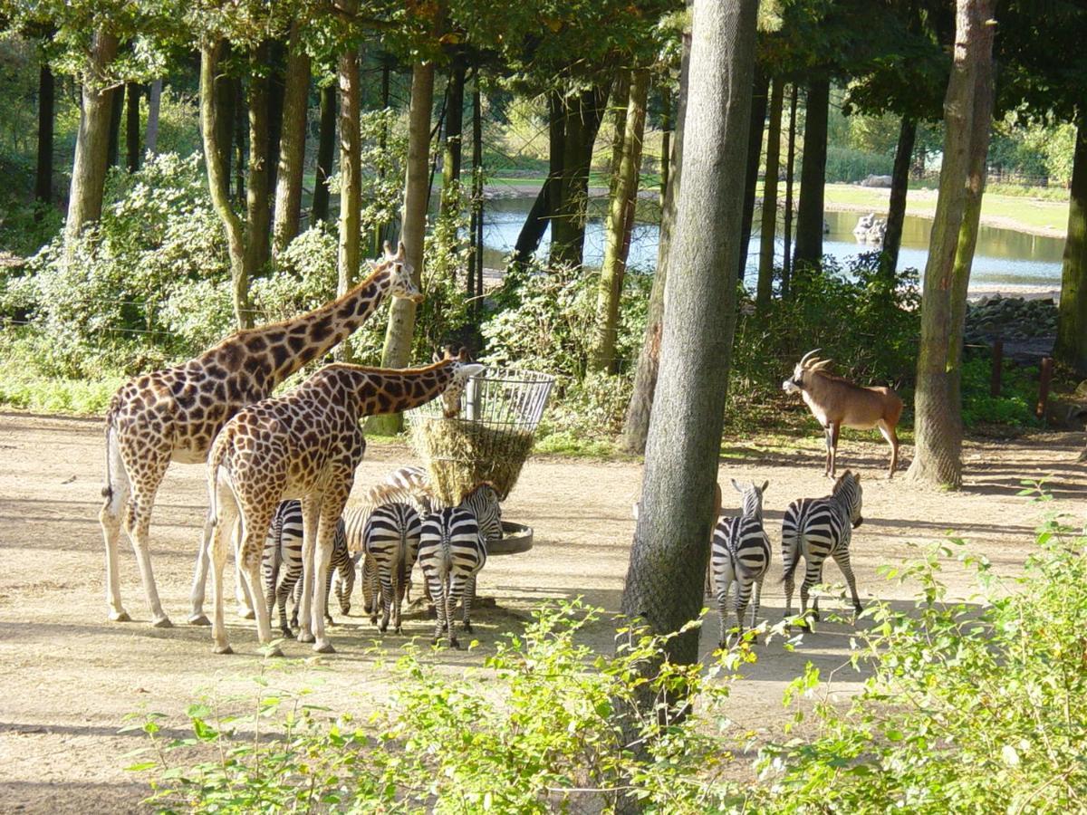 Europarcs De Hooge Veluwe Hotel Arnhem Exterior foto